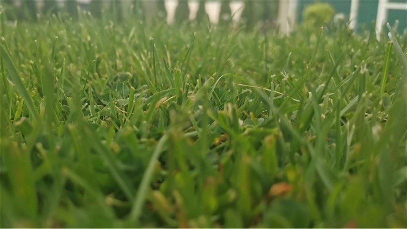 Valleyfield : Nouvelle règlementation sur les pesticides en 2025