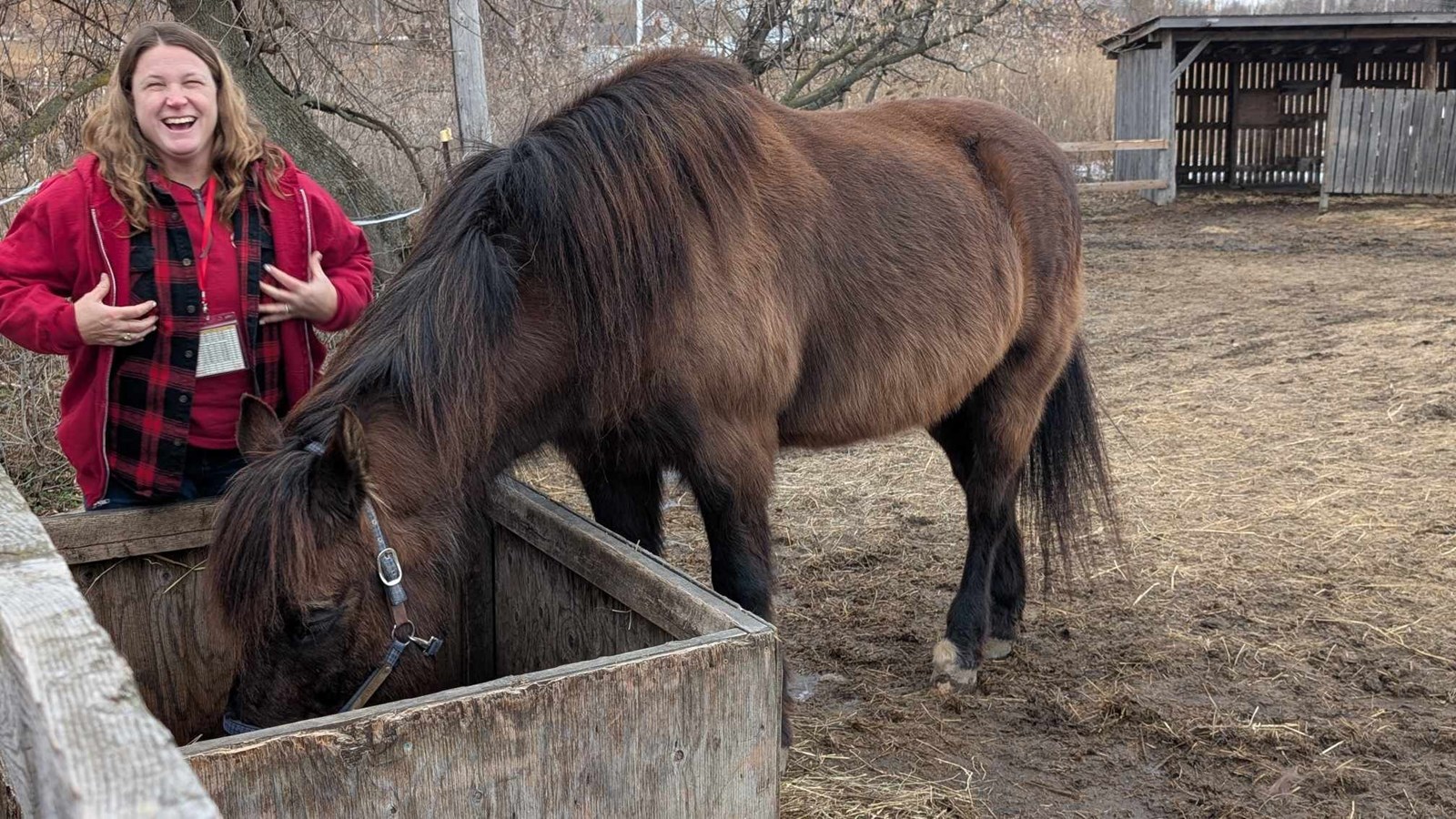 A Horse Tale : offrir une retraite paisible aux chevaux en fin de carrière
