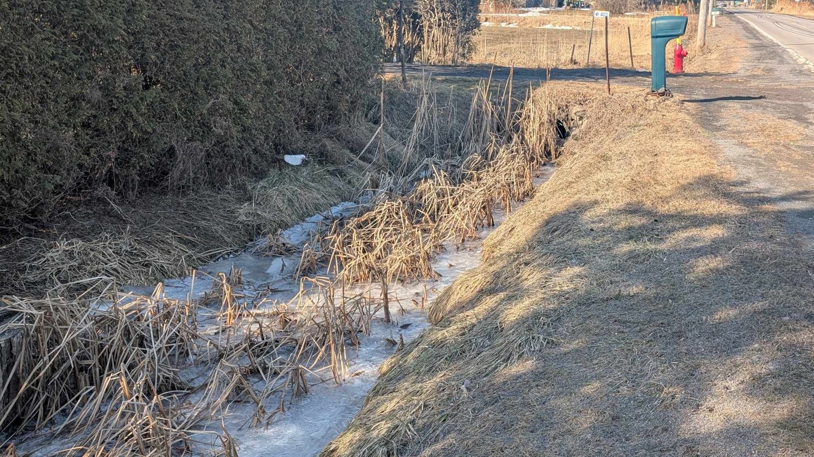 Photo du 22 mars du fossé de Claude Faubert