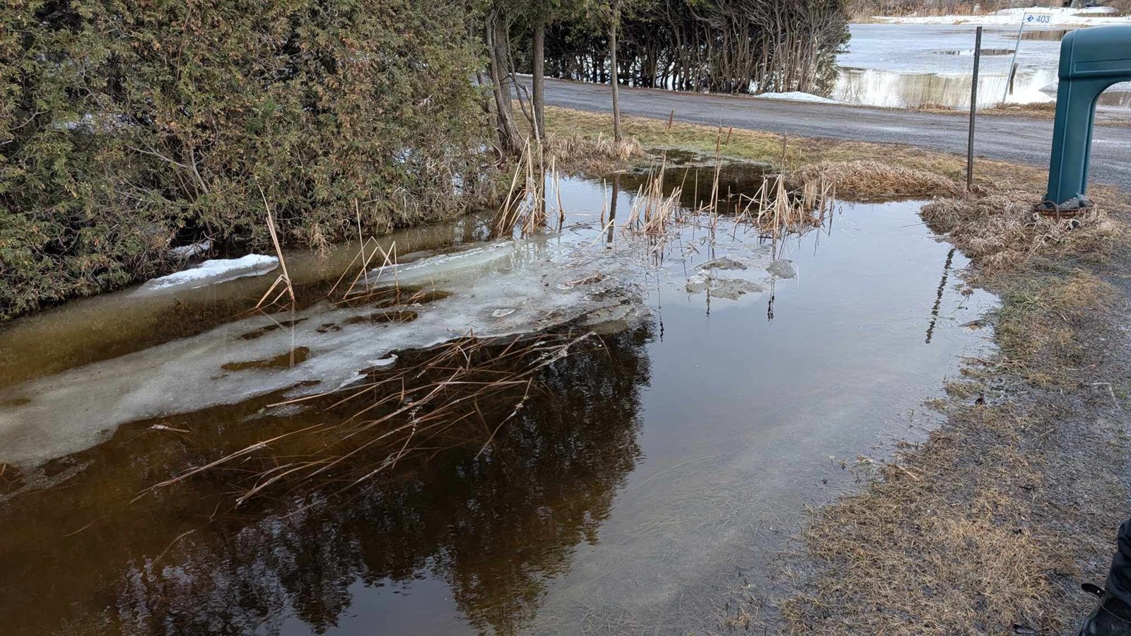 Photo du 17 mars du fossé de Claude Faubert