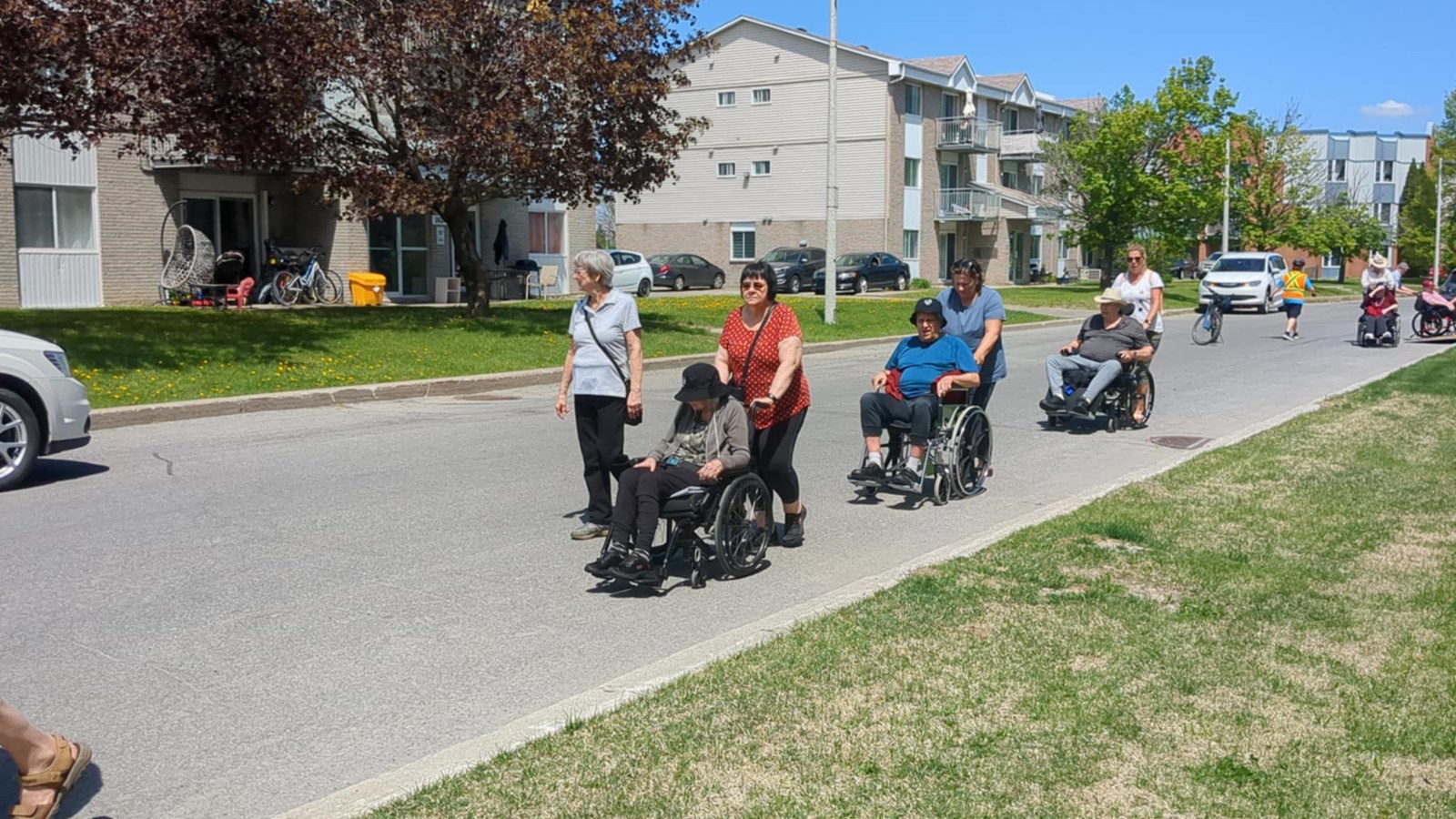 Inspiré par l'initiative, le Manoir Harwood tient sa marche intergénérationnelle
