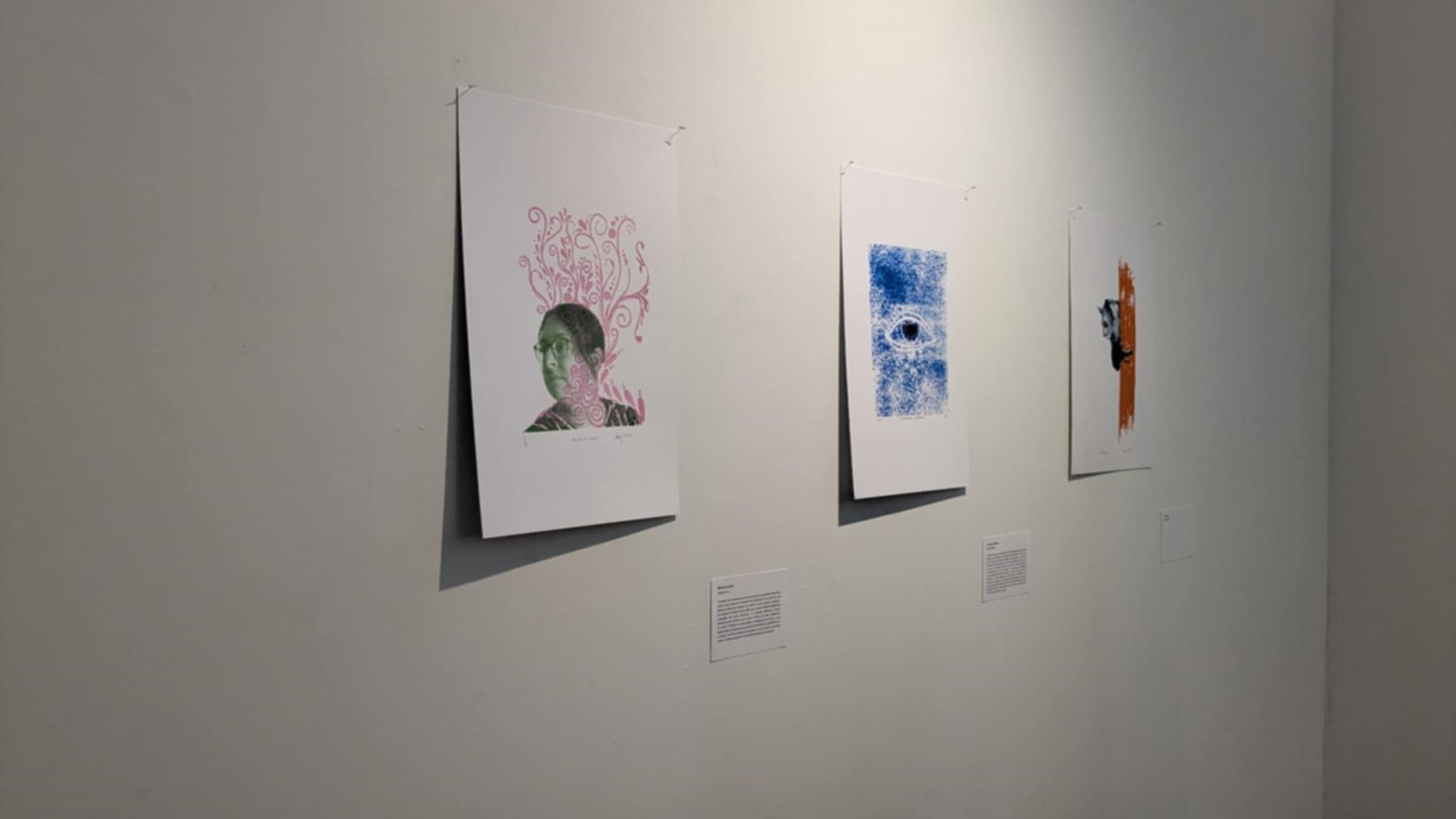 Les élèves de la Cité-des-Jeunes exposent au Cégep de Valleyfield