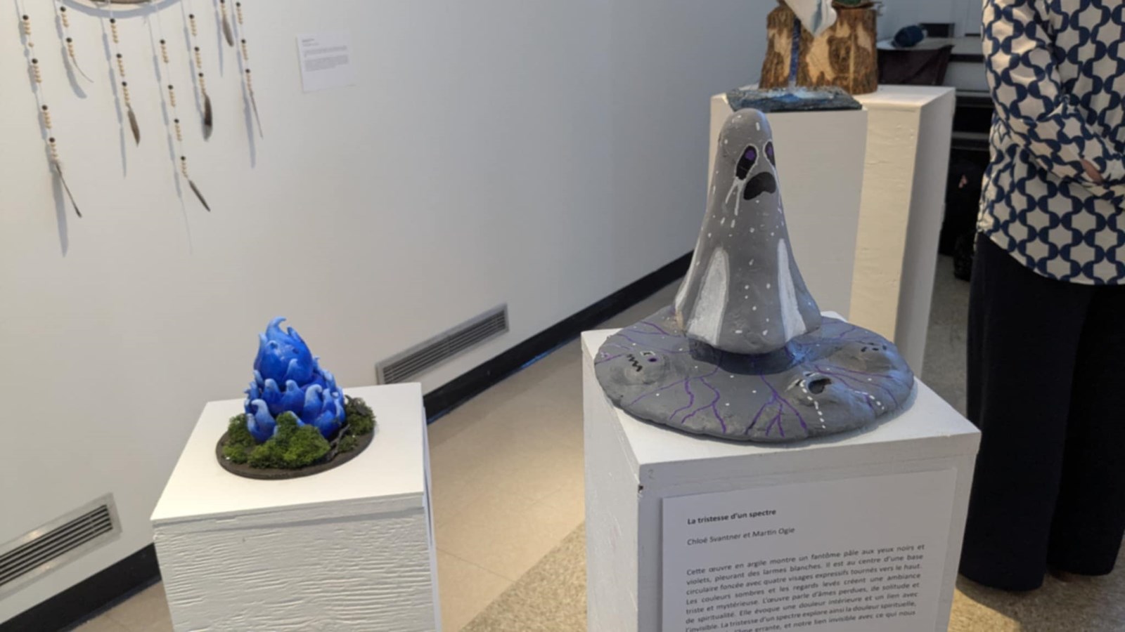 Les élèves de la Cité-des-Jeunes exposent au Cégep de Valleyfield