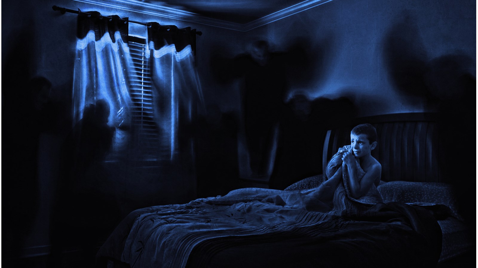 Terreurs nocturnes, photo gagnante en 2024