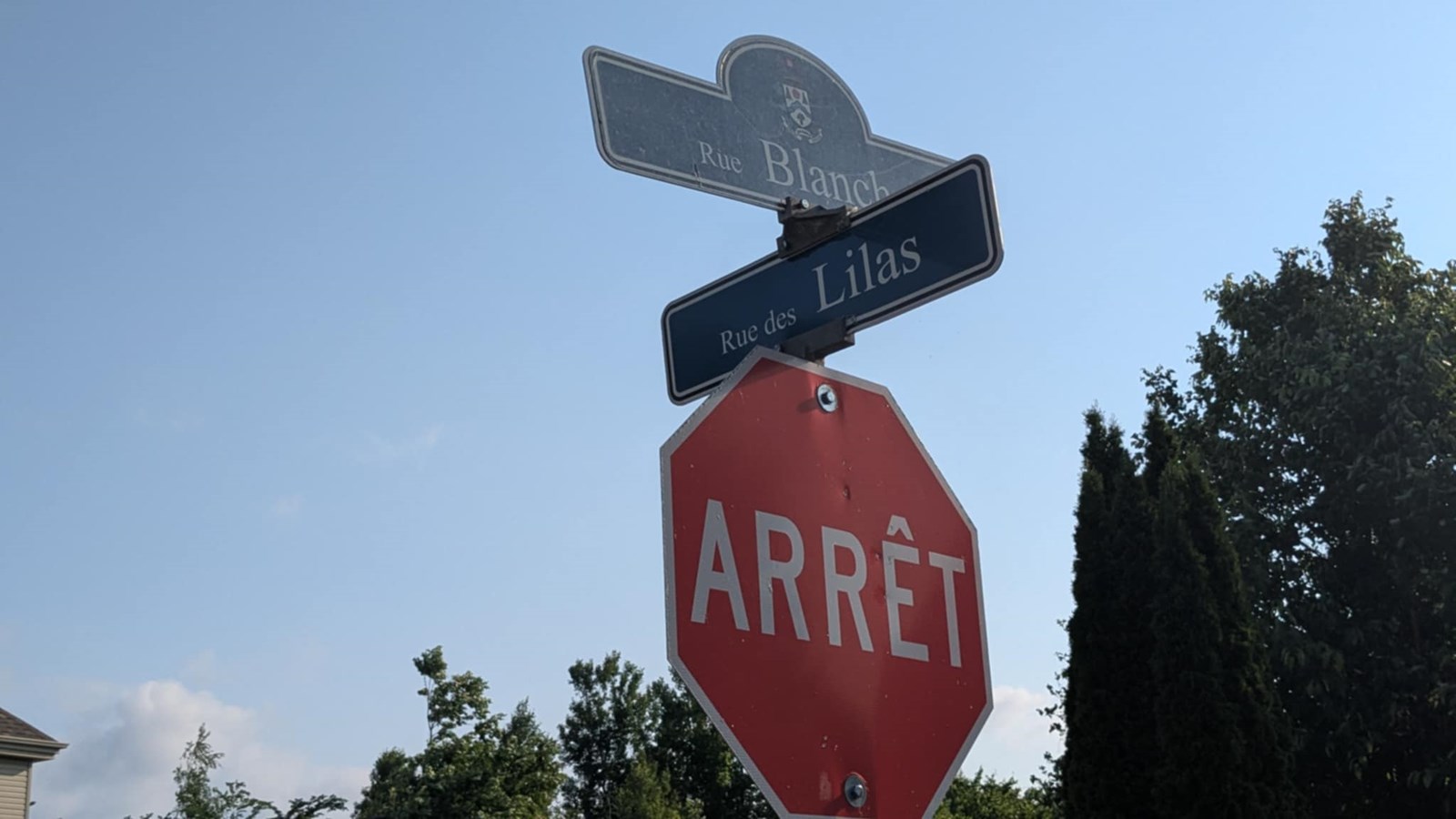 Les Cèdres autorise le jeu libre sur une première rue de son territoire