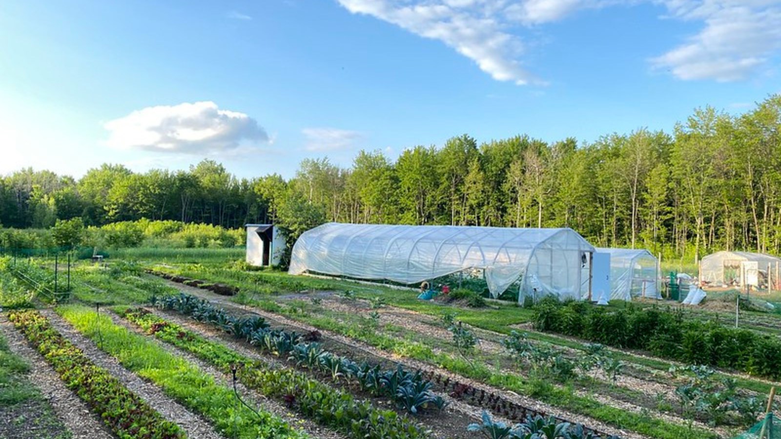 Une réussite pour la Petite Ferme locale