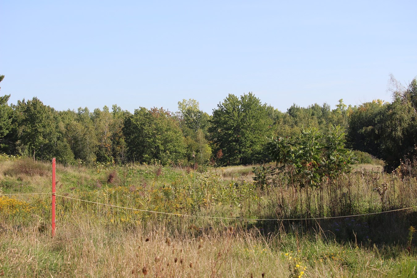 Développement du noyau villageois et du secteur de la Cité-des-Jeunes