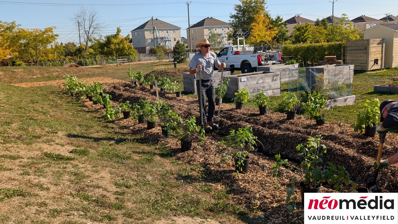 EN VIDÉO : Verger communautaire au parc Lorne-Worsley : l’initiative citoyenne d’Éric Jean