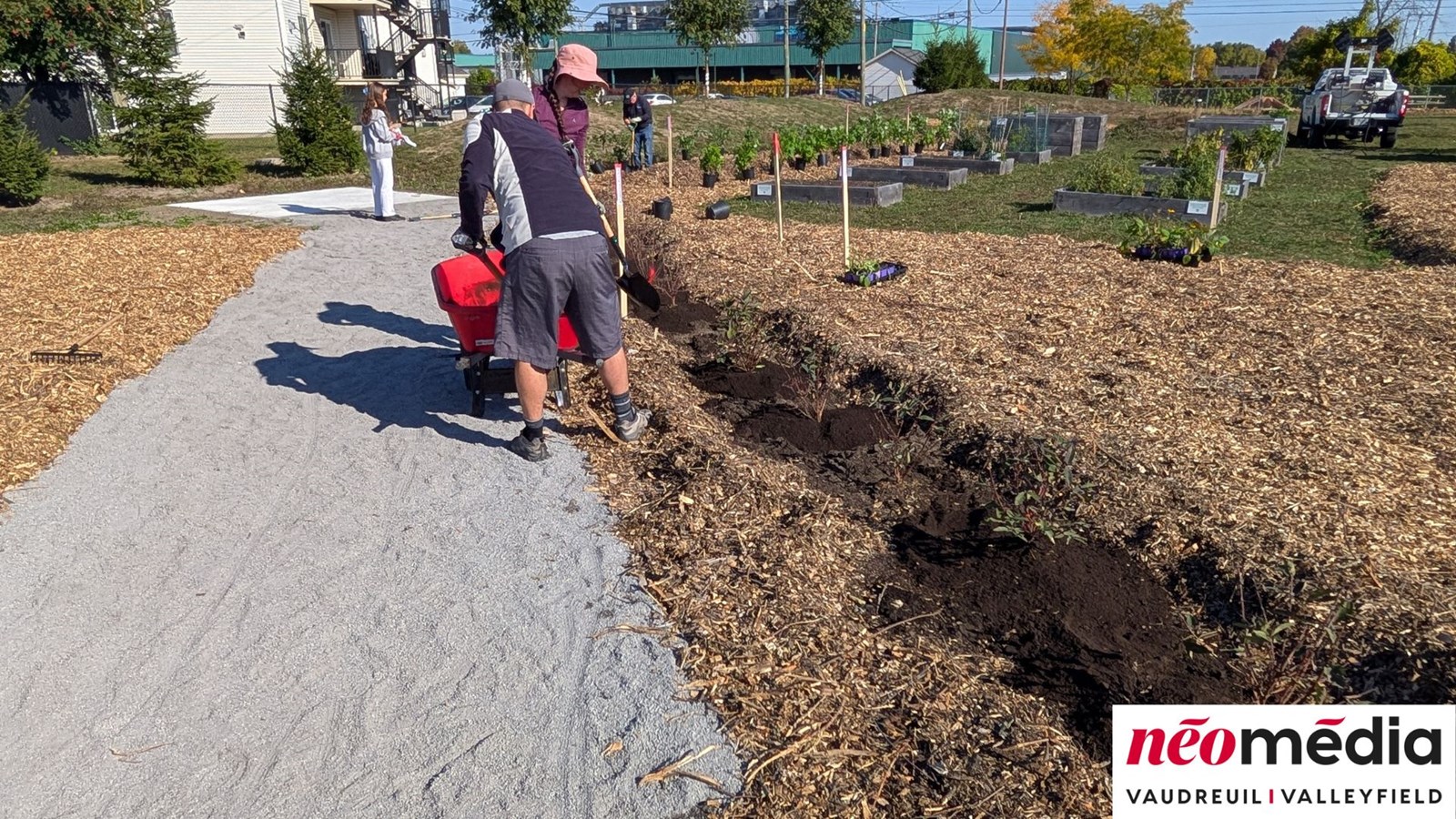 EN VIDÉO : Verger communautaire au parc Lorne-Worsley : l’initiative citoyenne d’Éric Jean