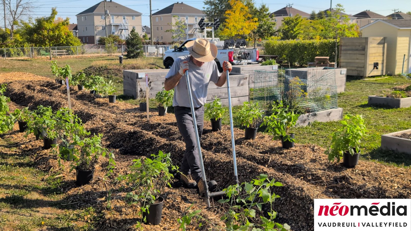 EN VIDÉO : Verger communautaire au parc Lorne-Worsley : l’initiative citoyenne d’Éric Jean