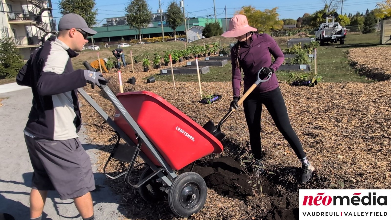 EN VIDÉO : Verger communautaire au parc Lorne-Worsley : l’initiative citoyenne d’Éric Jean