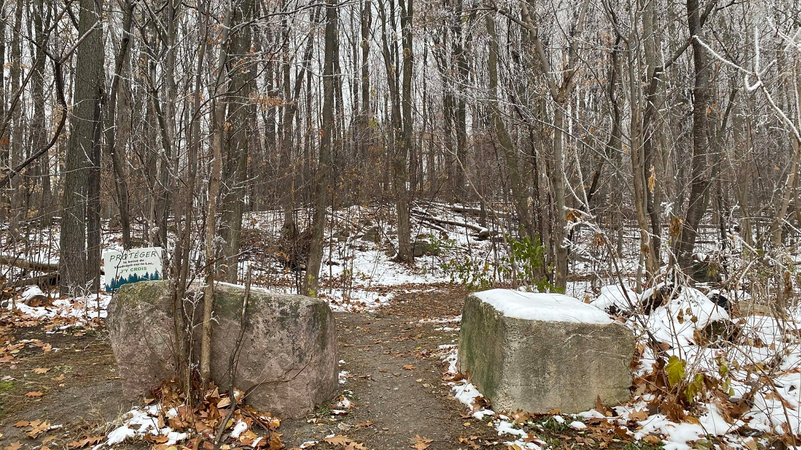 Vaudreuil-sur-le-Lac protège son dernier boisé mature