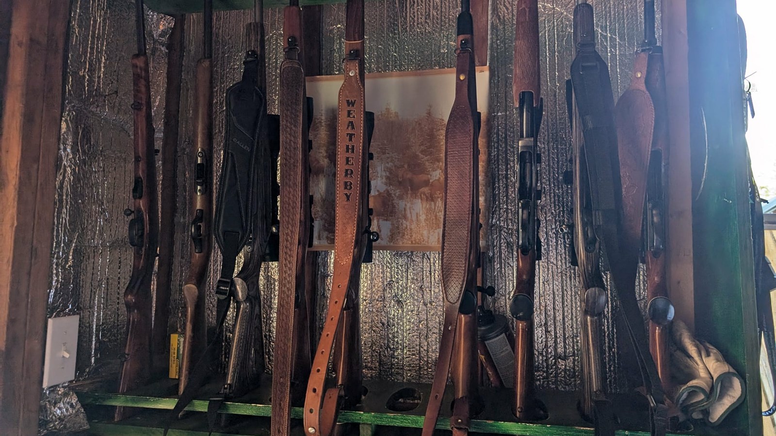 Signaler une activité de chasse suspecte