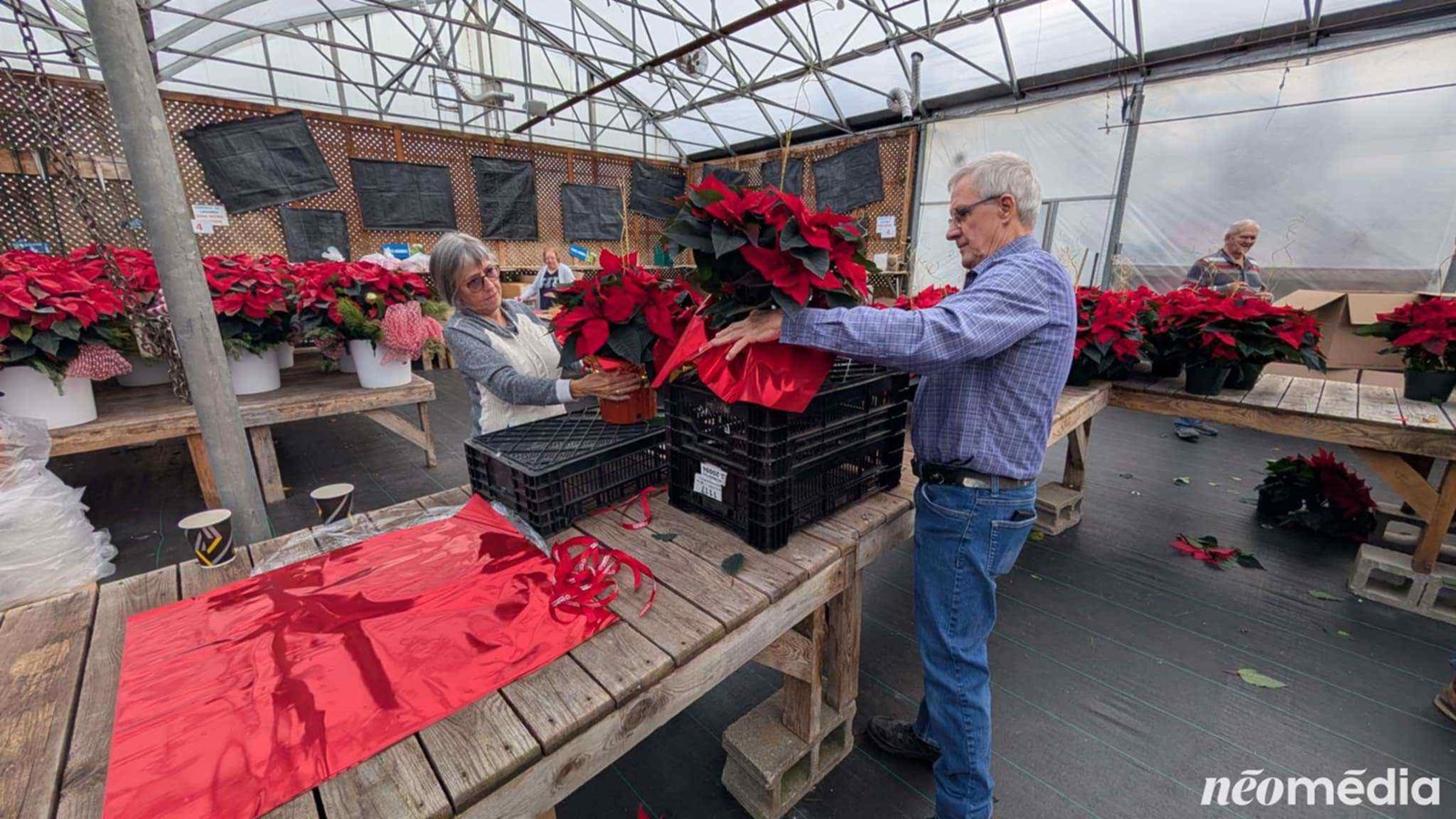 15e campagne de poinsettia au profit de la Maison de soins palliatifs Libella