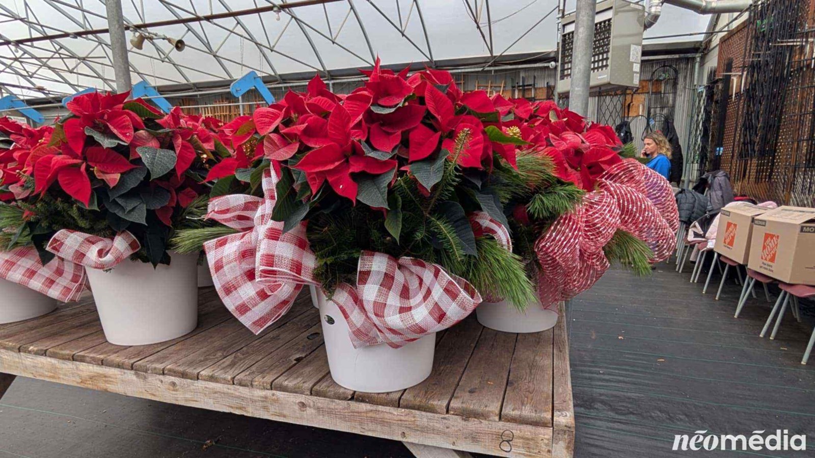 15e campagne de poinsettia au profit de la Maison de soins palliatifs Libella