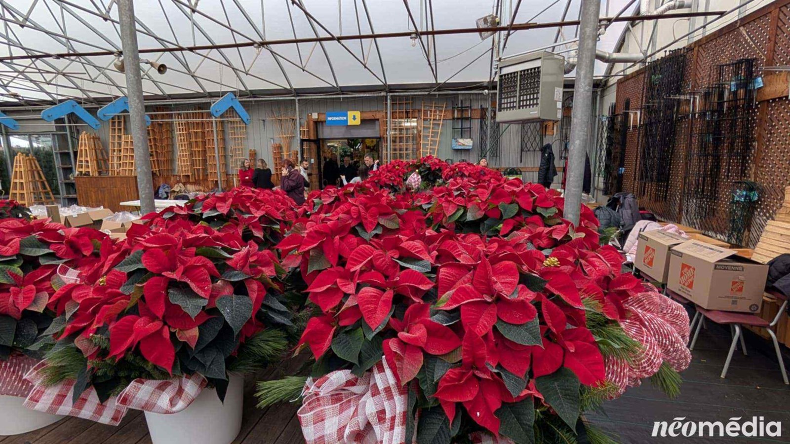 15e campagne de poinsettia au profit de la Maison de soins palliatifs Libella
