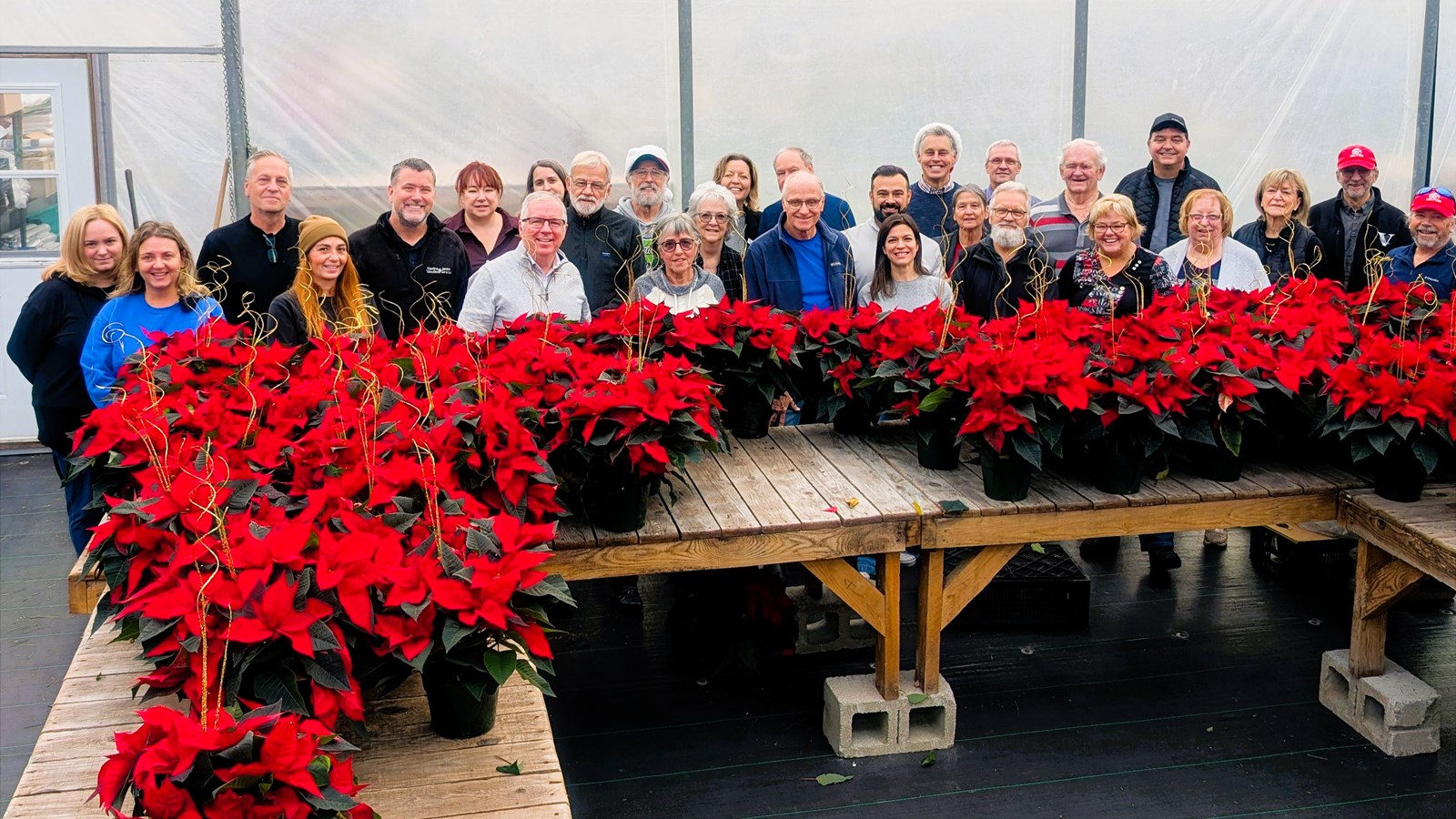 Maison de soins palliatifs Libella: résultat de la Campagne de poinsettias 2025