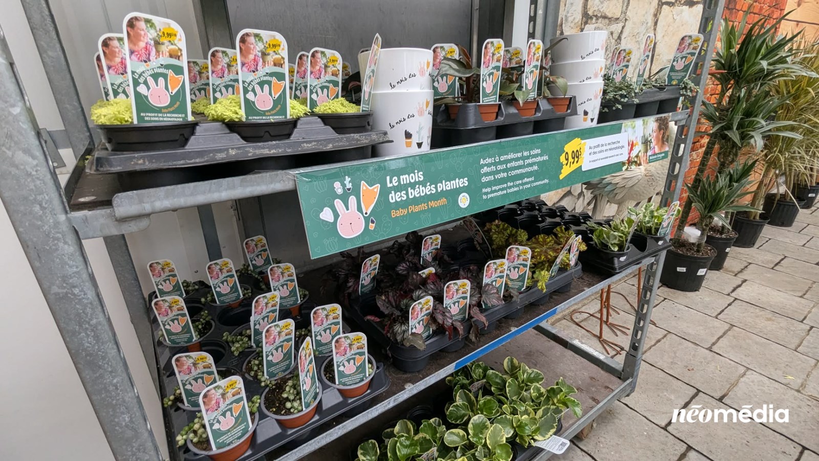 Soutenir la néonatalogie et la recherche un bébé plante à la fois