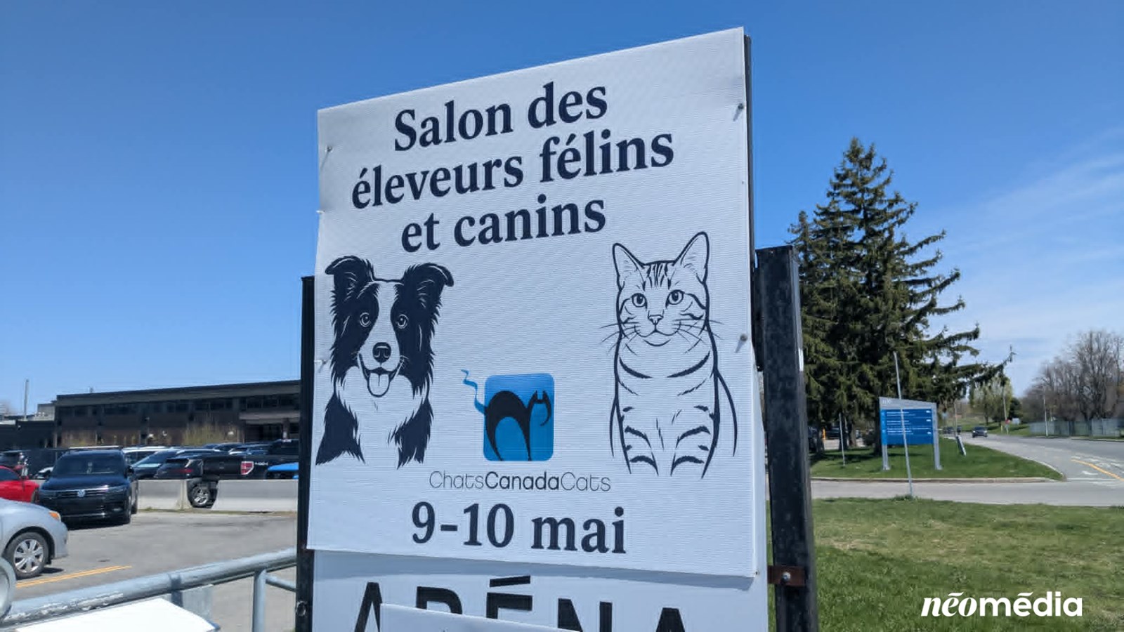 À la découverte du Salon des éleveurs félins et canins à Vaudreuil-Dorion