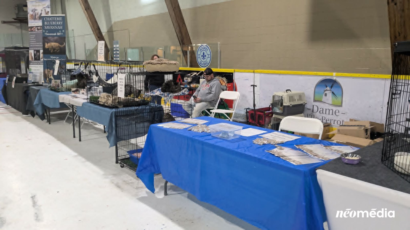 À la découverte du Salon des éleveurs félins et canins à Vaudreuil-Dorion