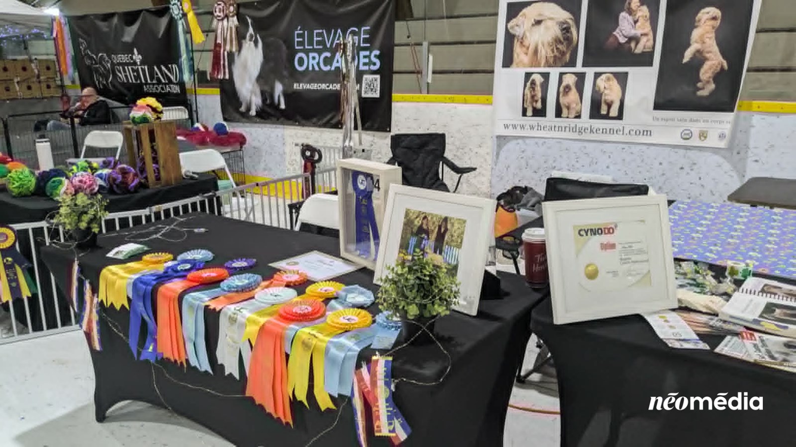 À la découverte du Salon des éleveurs félins et canins à Vaudreuil-Dorion