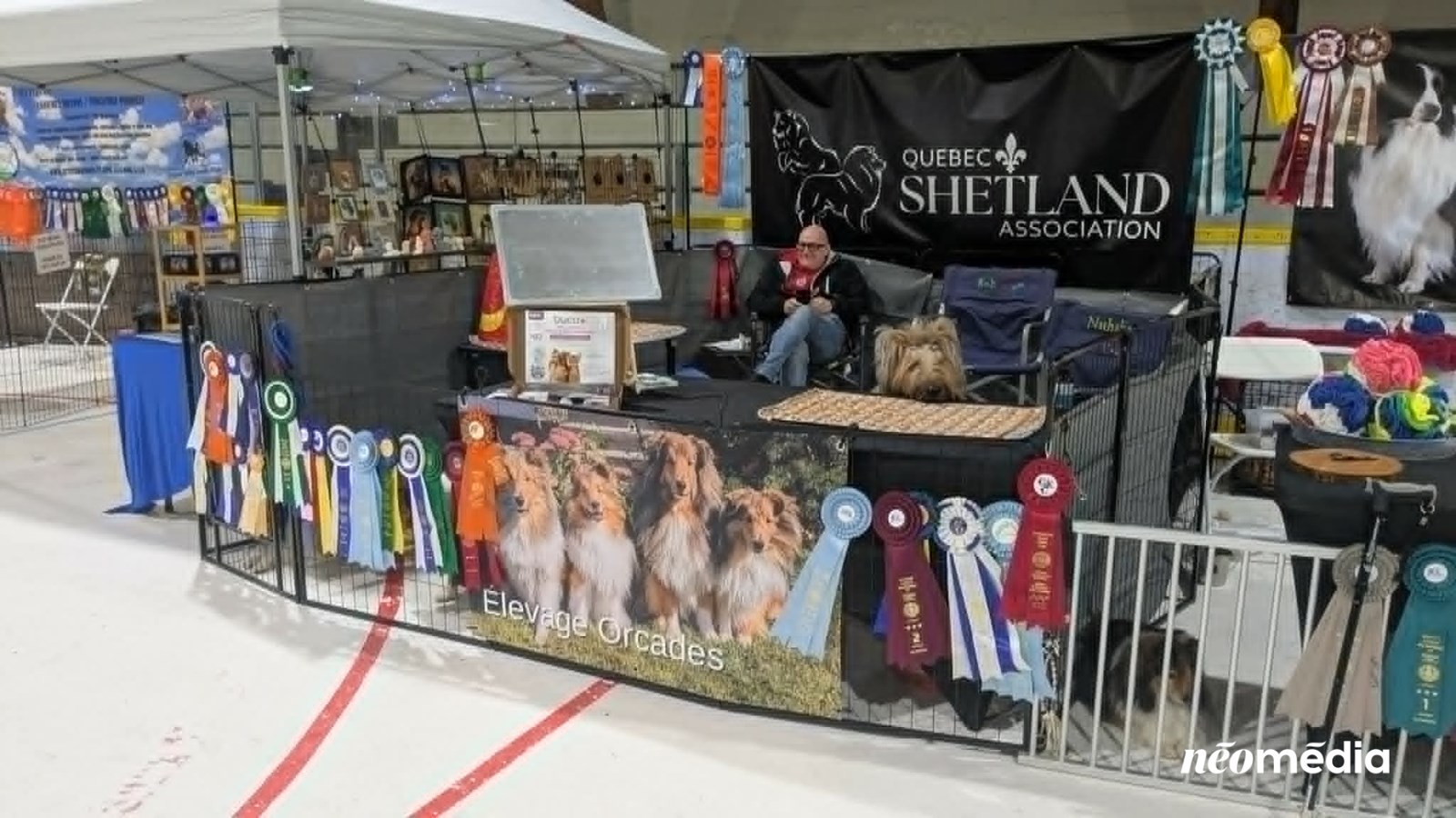 À la découverte du Salon des éleveurs félins et canins à Vaudreuil-Dorion