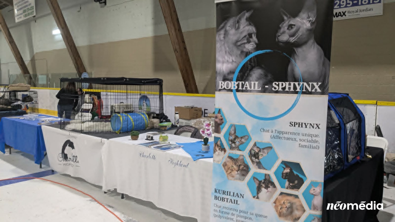 À la découverte du Salon des éleveurs félins et canins à Vaudreuil-Dorion