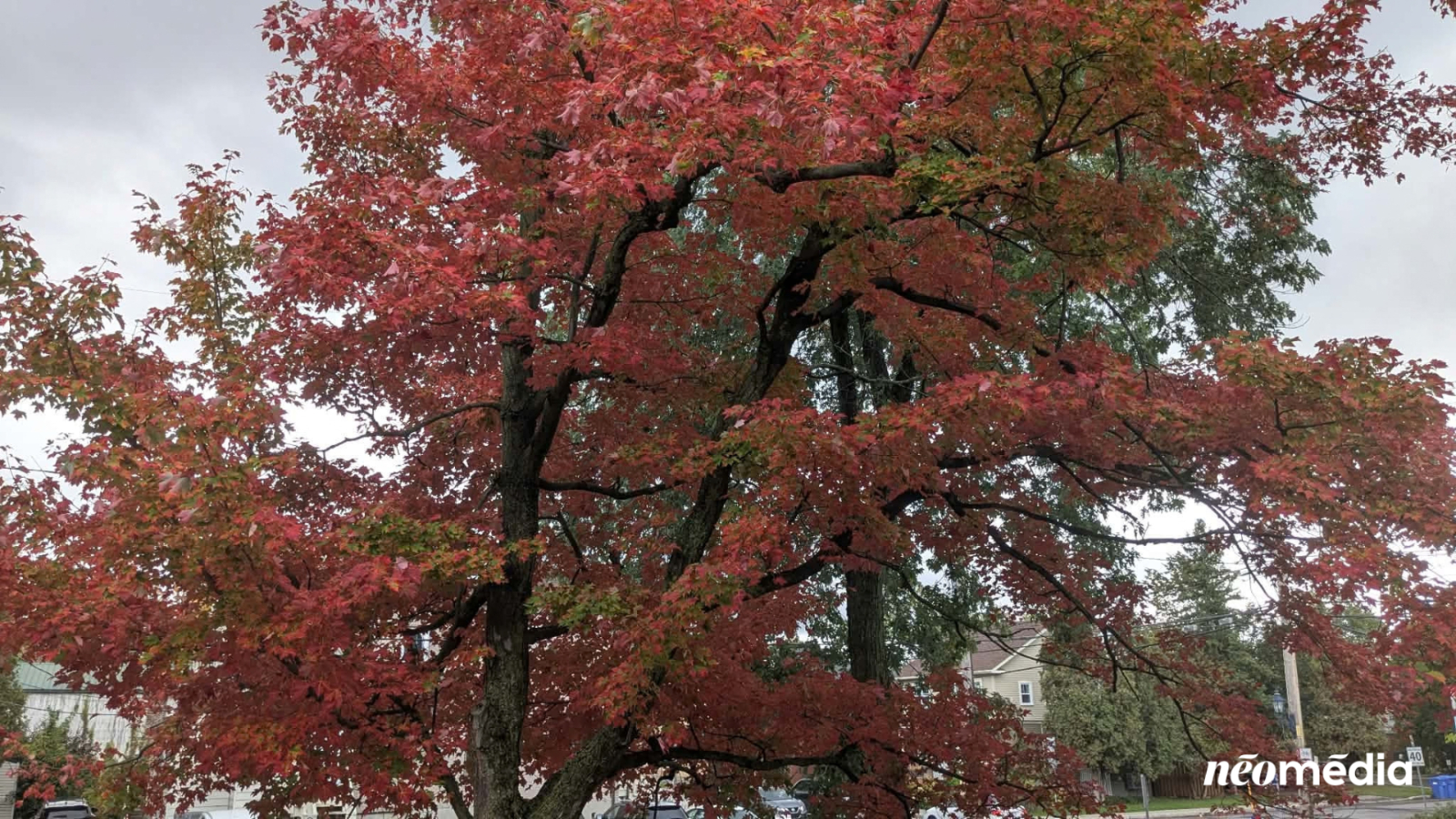 Admirer les couleurs, une des activités préférées de l'automne