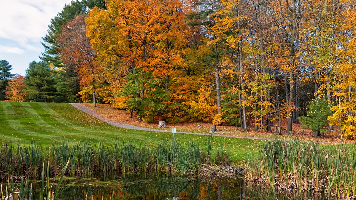 Milieux naturels : Vaudreuil-Dorion invite les citoyens à échanger