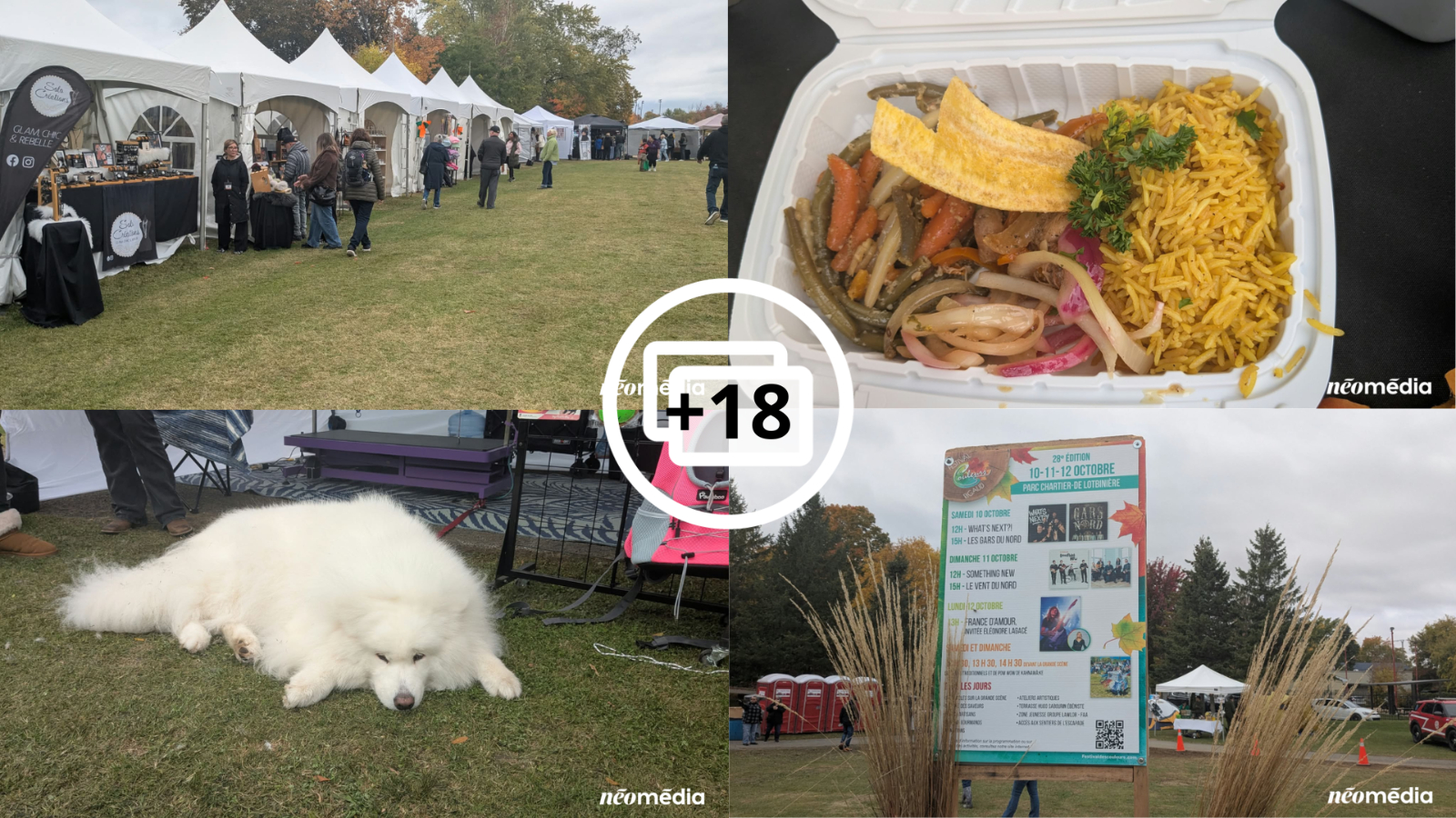 Festival des couleurs cover 2026 22 16X9