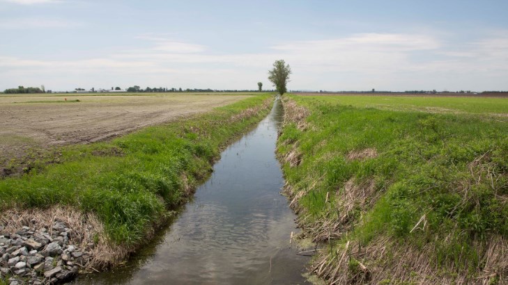 Cohabitation harmonieuse en zone agricole en Montérégie