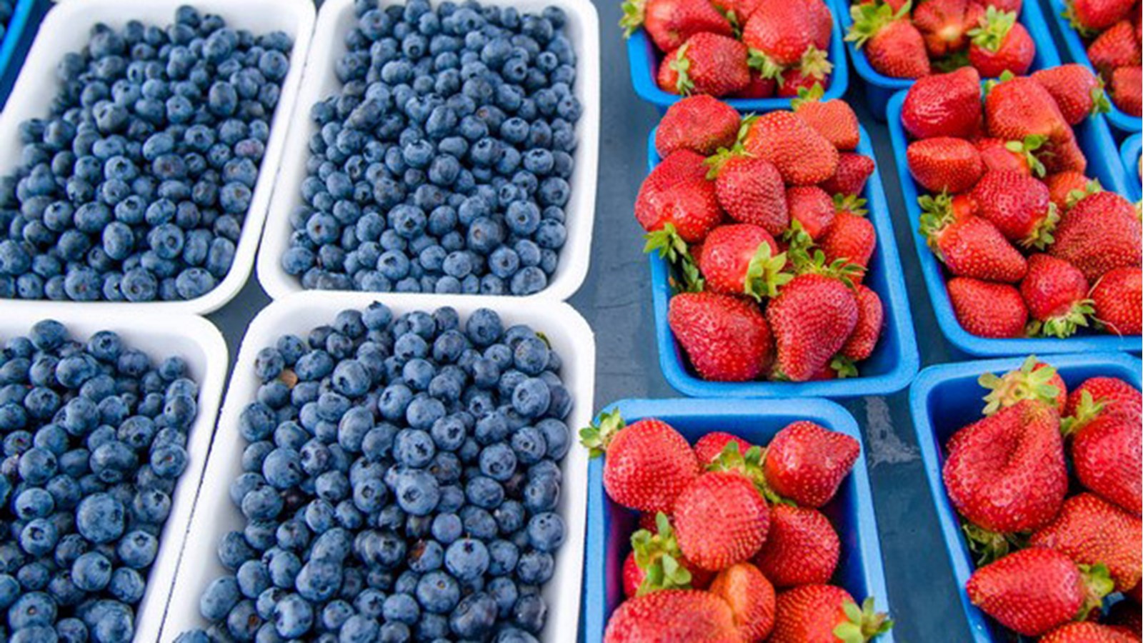 Grâce à Hydro-Québec et à la possibilité d’offrir de l’électricité à faible coût, il serait possible, selon M. Legault, de mettre en place des infrastructures pour cultiver  en serres des fruits et légumes à l’année.
