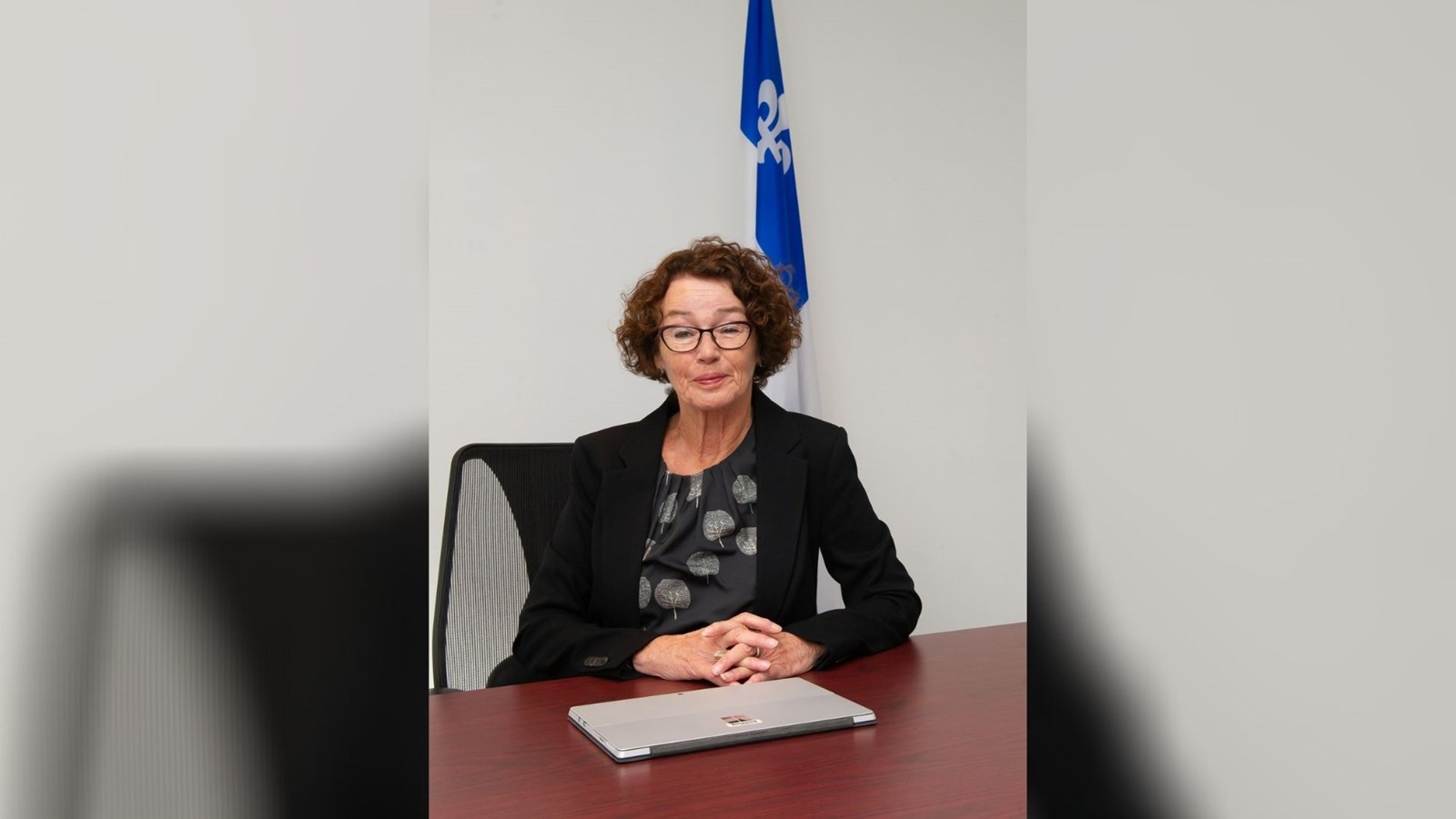 Conférence virtuelle sur l’assurance-emploi avec les députées Louise Chabot et Marilène Gill : une réussite