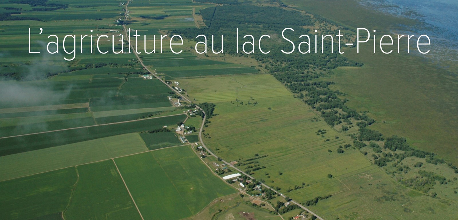 La cohabitation agriculture-faune en zone littorale du lac Saint-Pierre, en voie vers une réussite!
