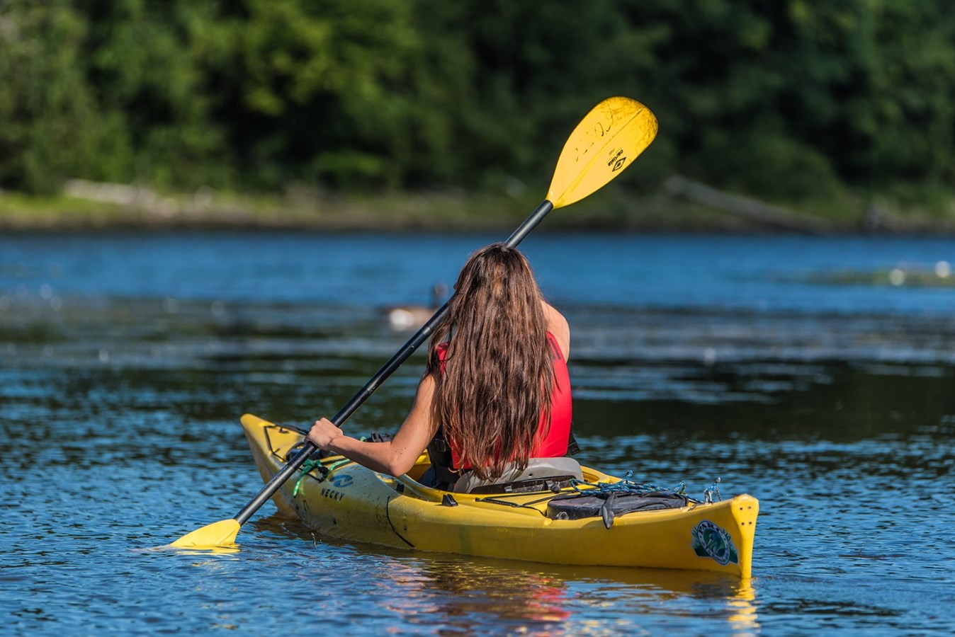 Un nouveau circuit nautique dans le fleuve Saint-Laurent