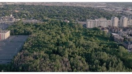 Bien que ce boisé, poumon urbain au coeur du centre-ville, soit désormais propriété municipale et protégé, il n’est ni aménagé, ni accessible.