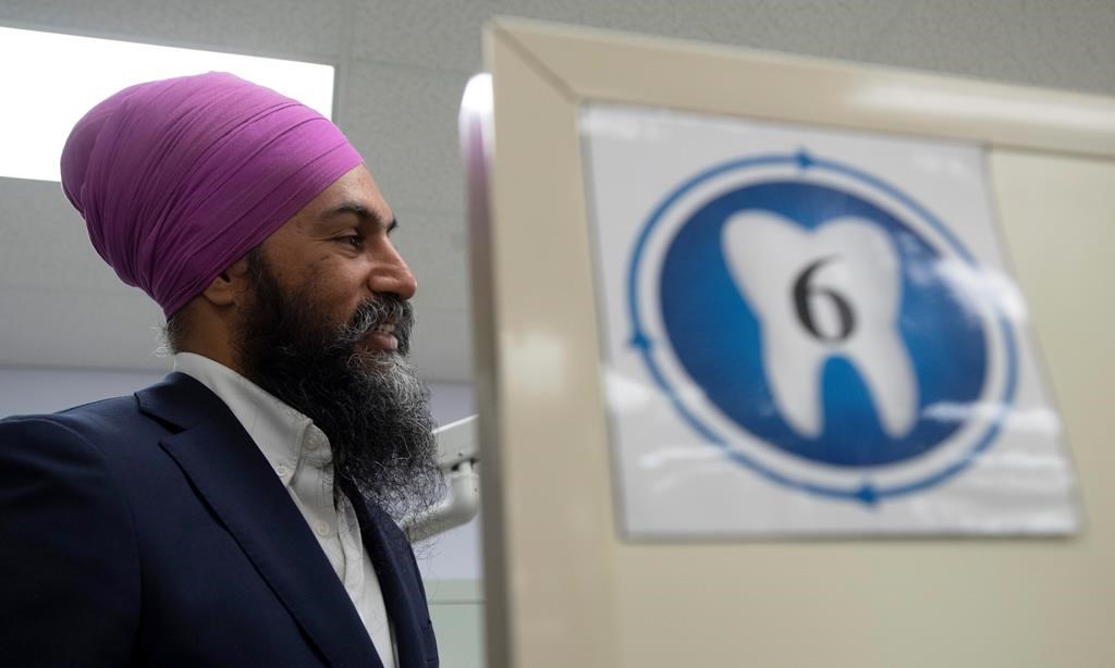Les libéraux envisagent un plan temporaire pour les soins dentaires