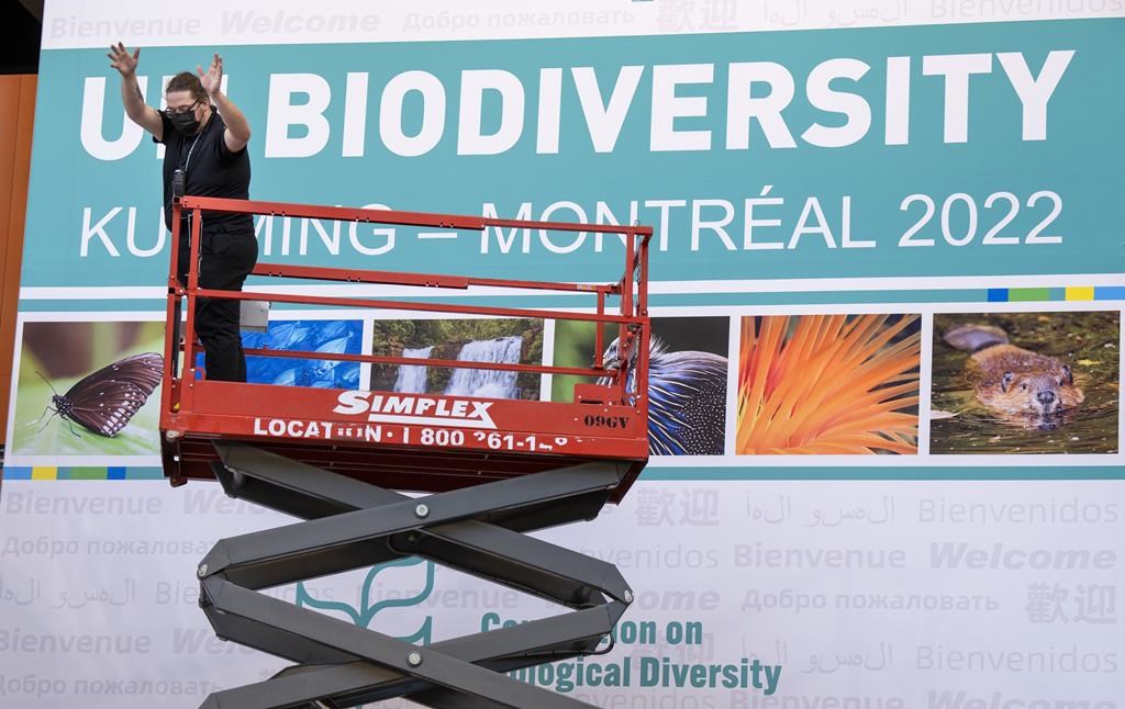 Une conférence onusienne sur la biodiversité s'ouvre à Montréal