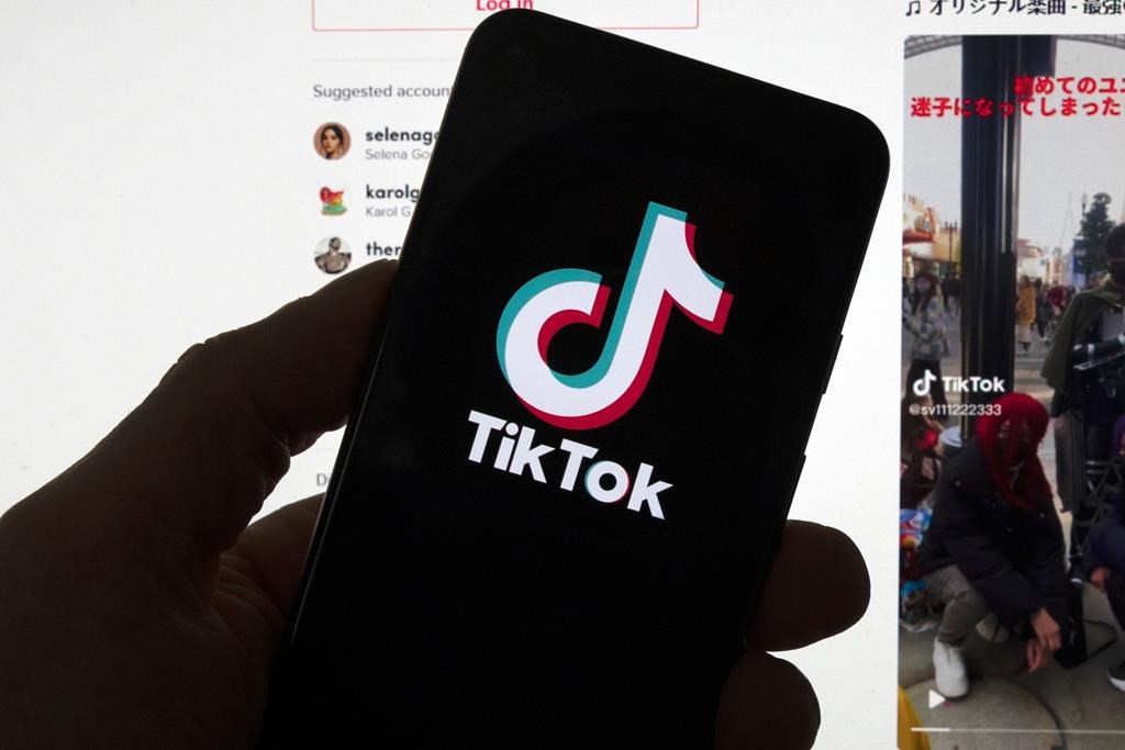 Les jeunes peuvent continuer à utiliser TikTok, assure le ministre Champagne