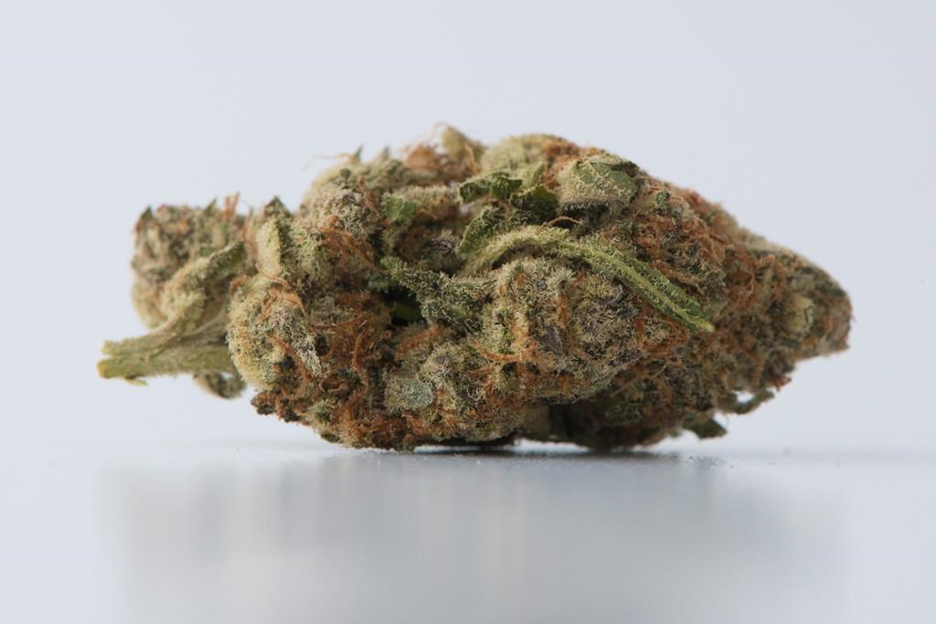 Ottawa dépensera 200 millions $ par année en cannabis pour les anciens combattants