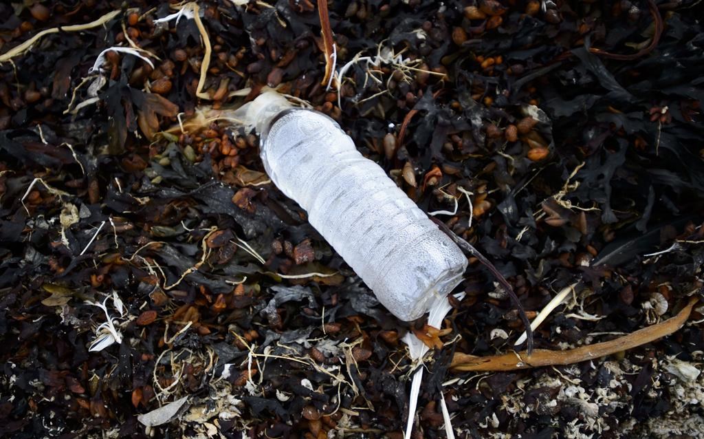 Un organisme a amassé plus de 4 tonnes de déchets sur les berges du Québec cet été