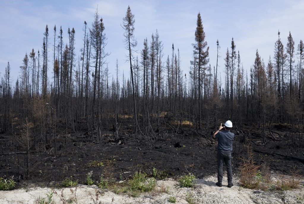 Sondage: les Québécois craignent la crise climatique et veulent plus d'actions