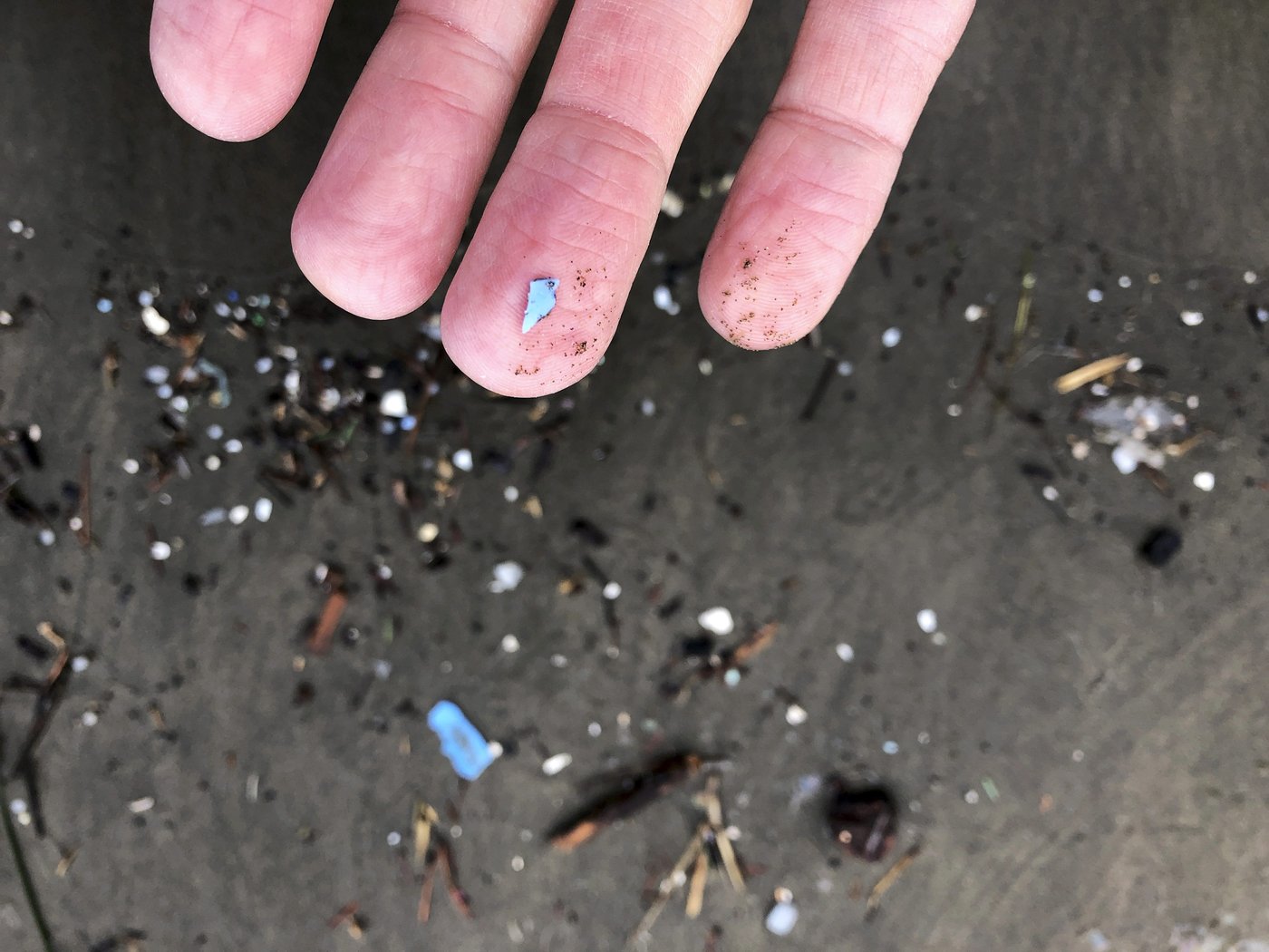 Des microplastiques ont été détectés jusque dans le sperme