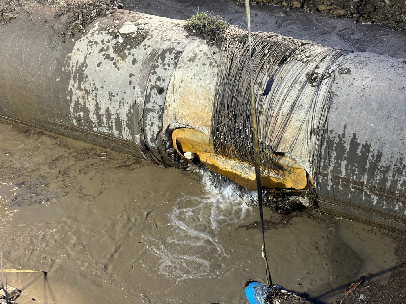 La mairesse de Calgary satisfaite de la réduction de la consommation d'eau