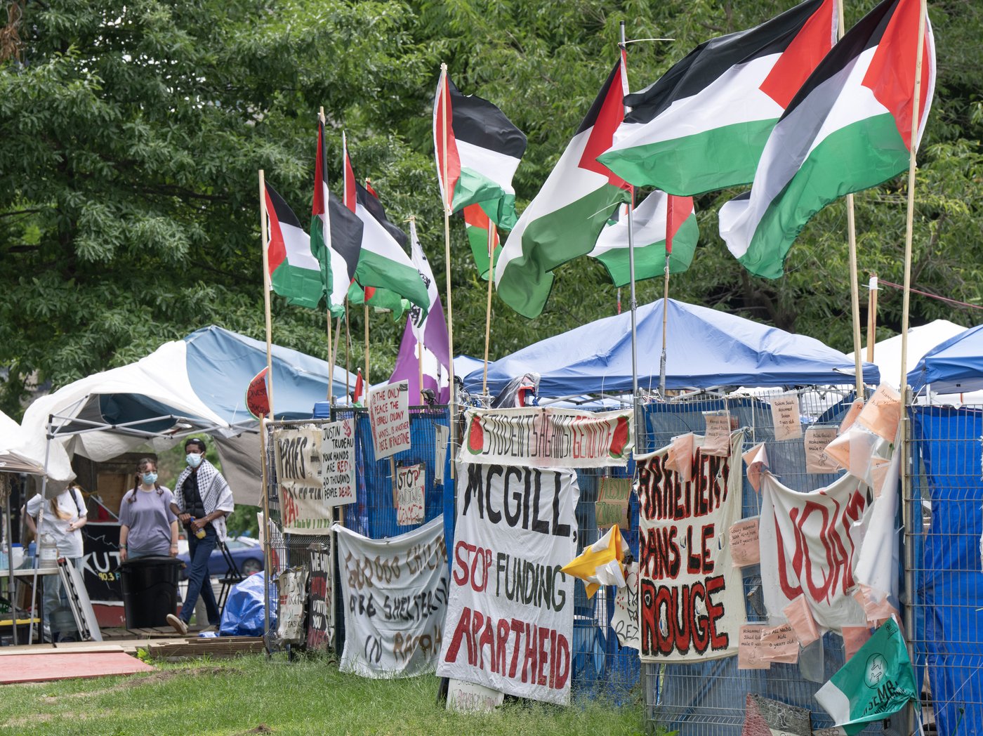 McGill ferme son campus et annonce le démantèlement du campement propalestinien