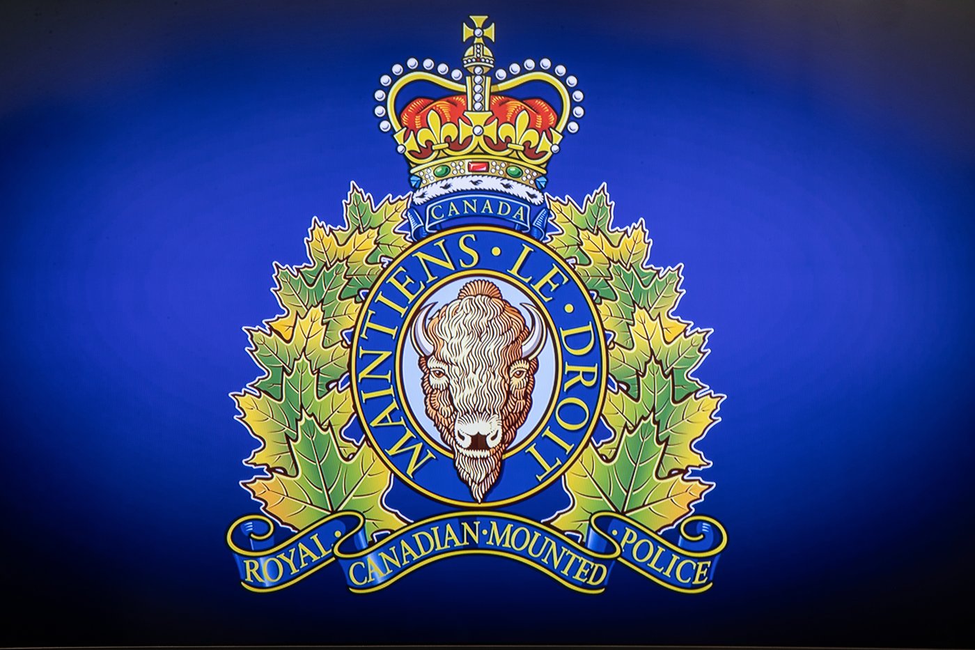 Une trafiquante de cocaïne arrêtée dans le comté de Pictou, en Nouvelle-Écosse